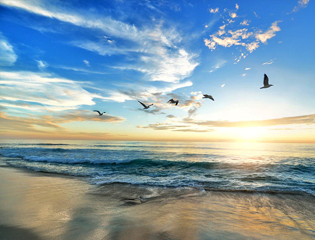 AG一飞冲天300倍游戏(中国游)·官方网站